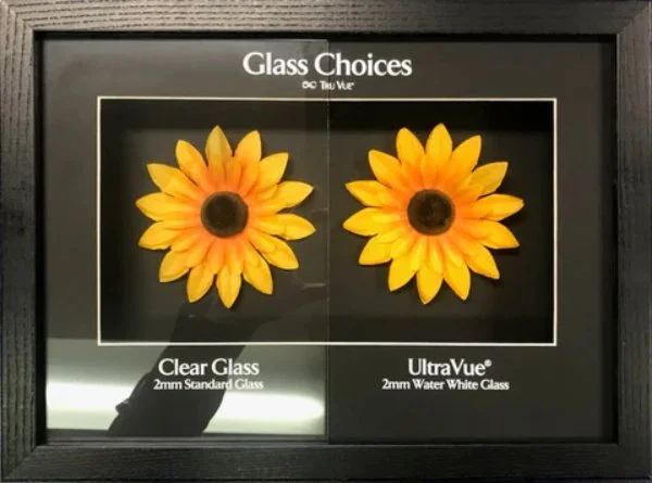 Display case showcasing two types of sunflower-shaped glass samples labeled 'Clear Glass' and 'UltraVue', with the heading 'Glass Choices'.