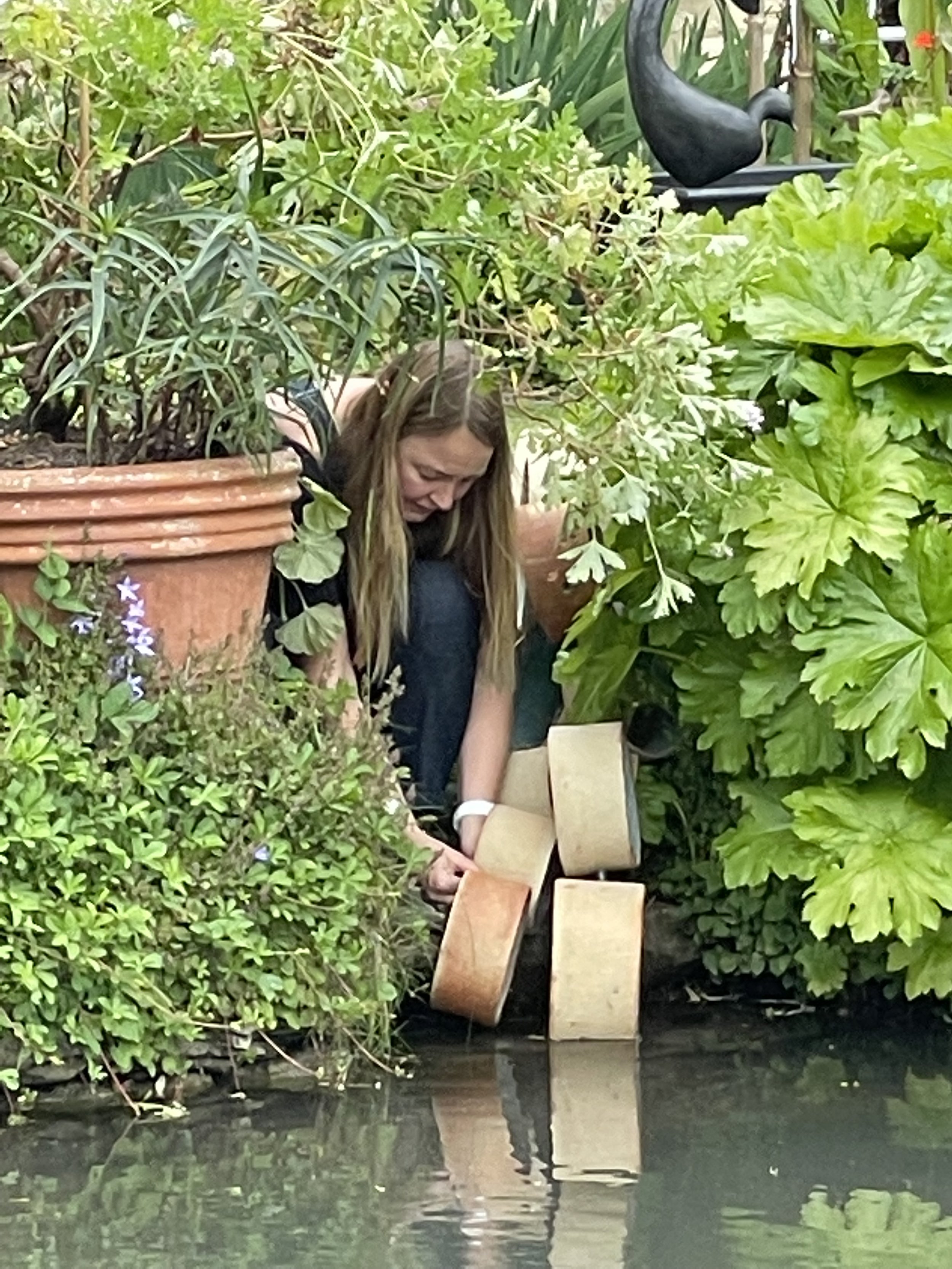 Short Courses — Cambridge Community Arts