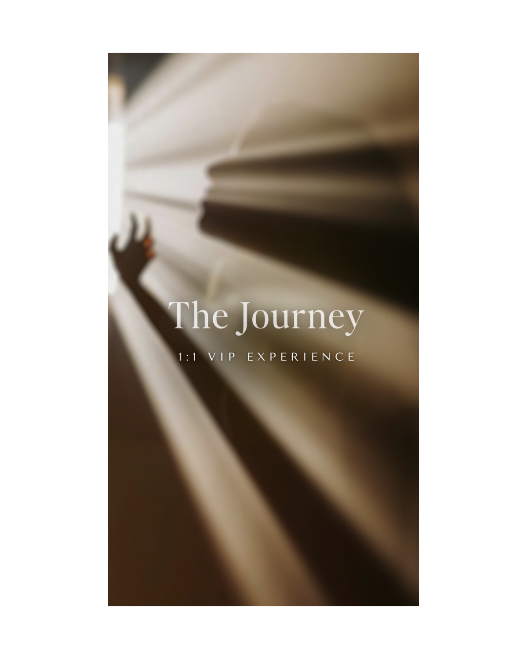 Untitled design (26).png