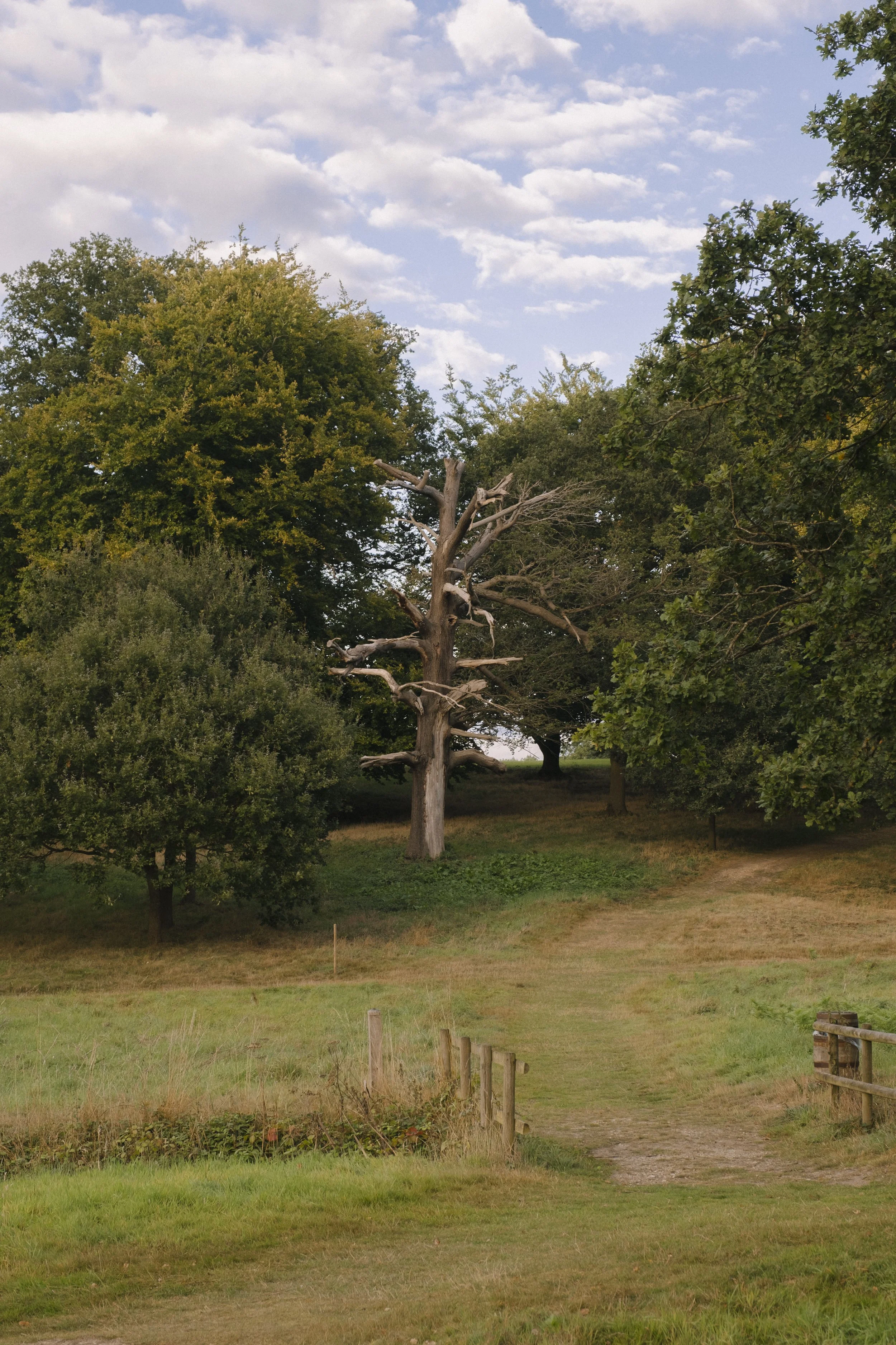 The Oak House Community Walk