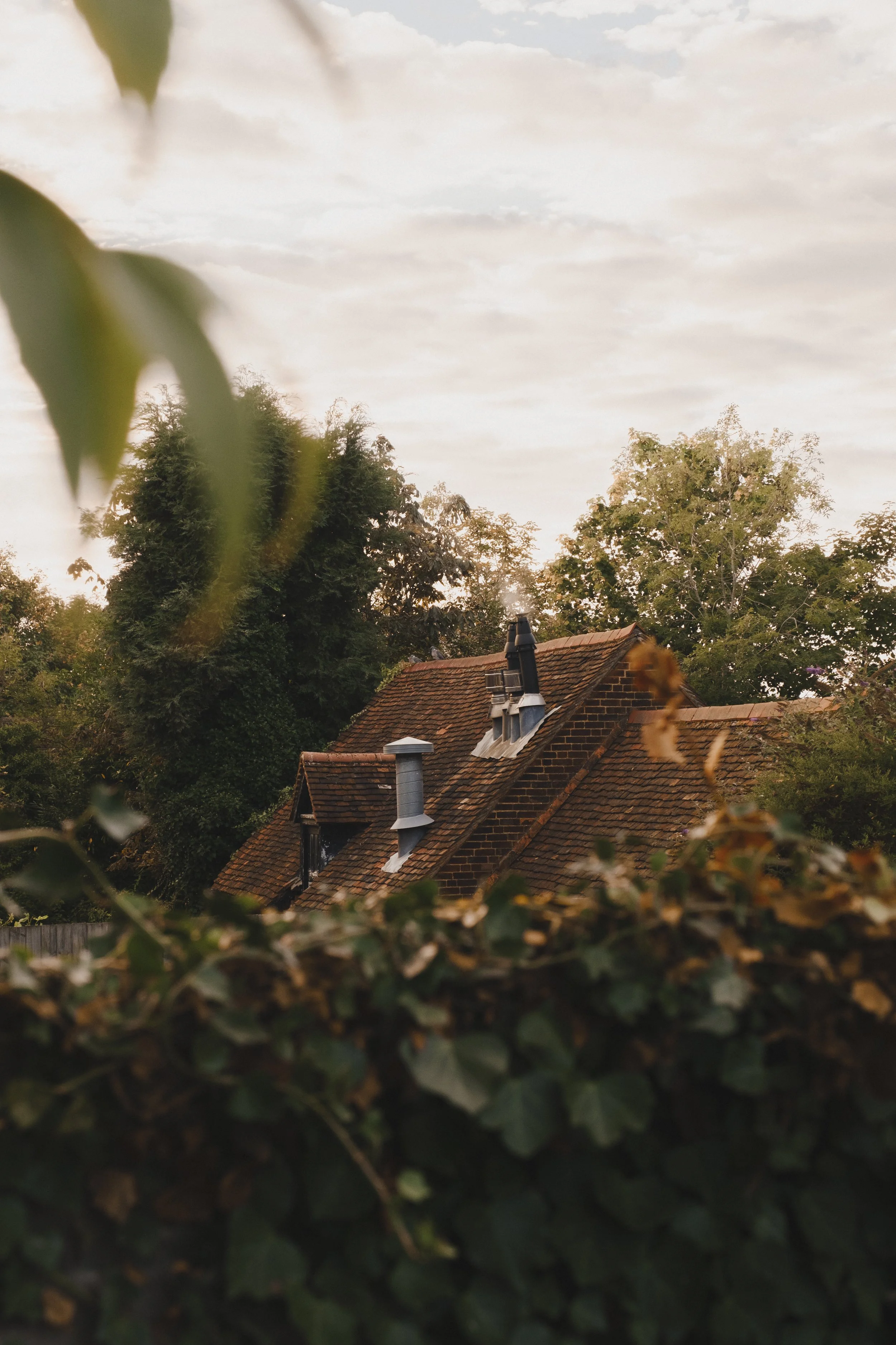 Creative Arts Therapy Day Retreat: Connect Deeply to Nature