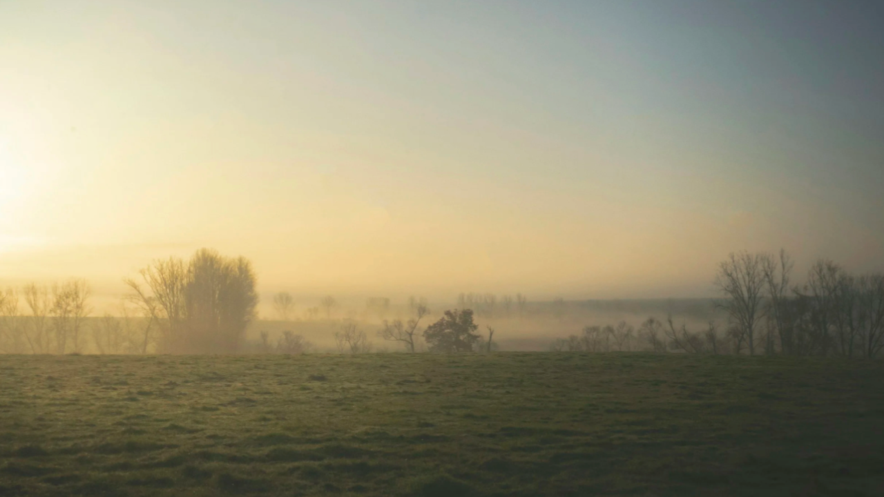 The Soft Season - a day retreat for the winter months