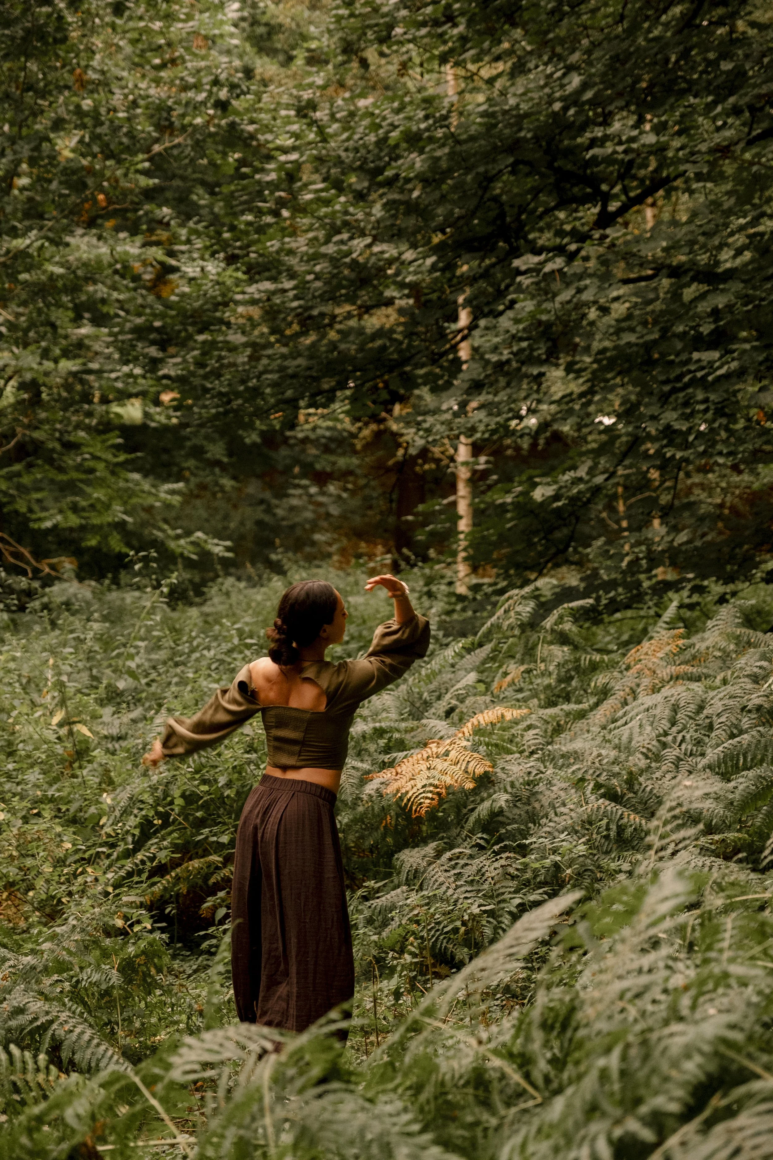 The Elemental Reset - Yoga Course