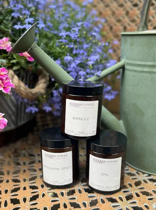 Screenshot 2026-02-20 092018.jpg