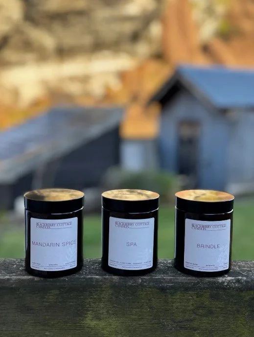 Screenshot 2026-02-20 091956.jpg