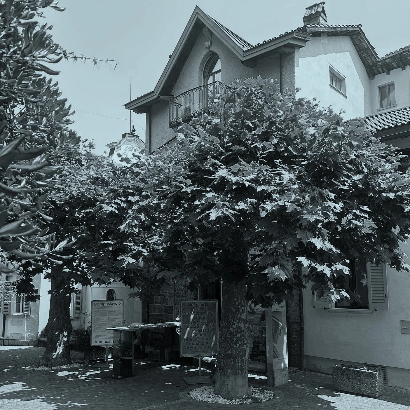 Giornata internazionale dei musei 2026