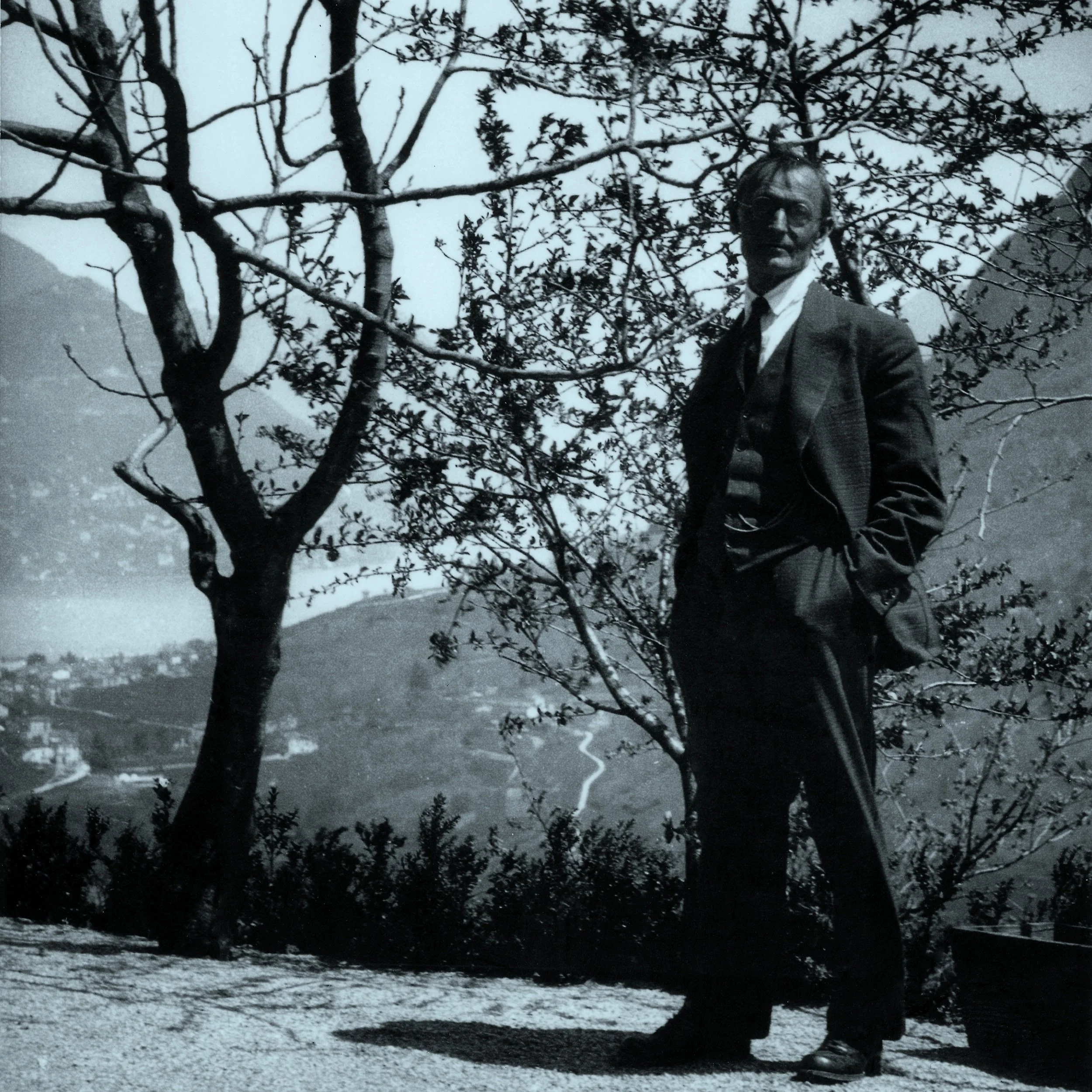 Il canto degli alberi