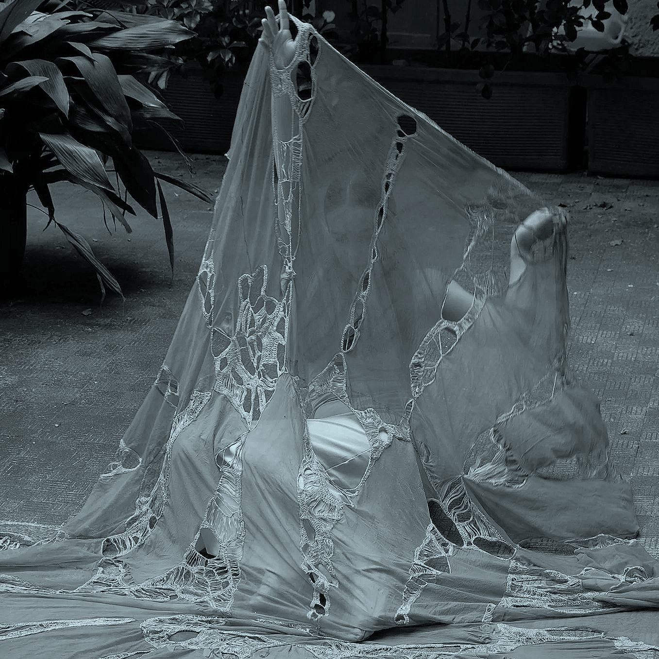 Giulia Santambrogio: San Francesco al femminile (Hesse Artist in Residence)