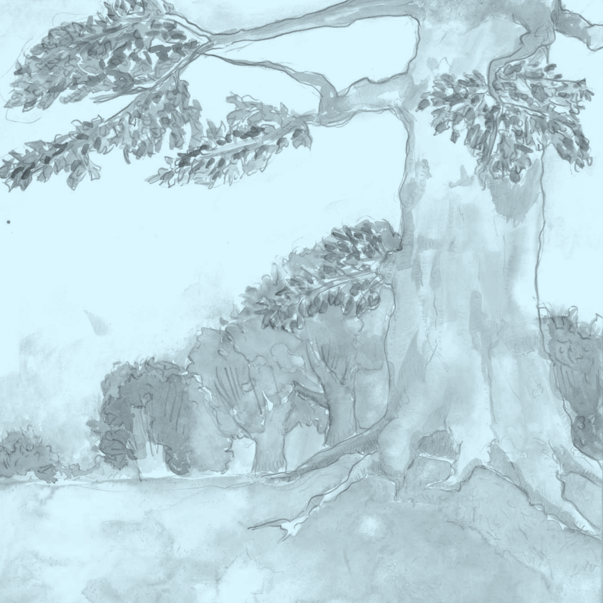 Antonia Boschetti: Manca Spazio (Hesse Artist in Residence)