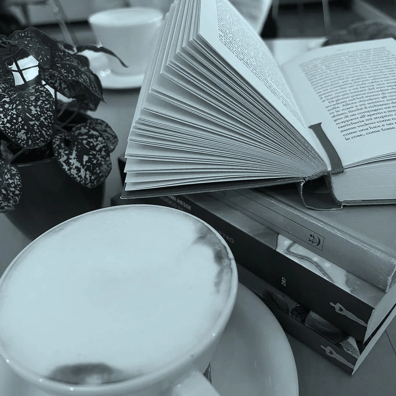 Silent Reading – Winter Edition