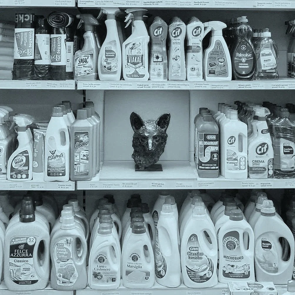 Antonia Boschetti: Manca Spazio (Hesse Artist in Residence)