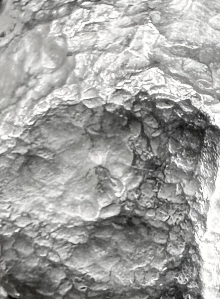 Skärmavbild 2025-08-20 kl. 11.27.49.png