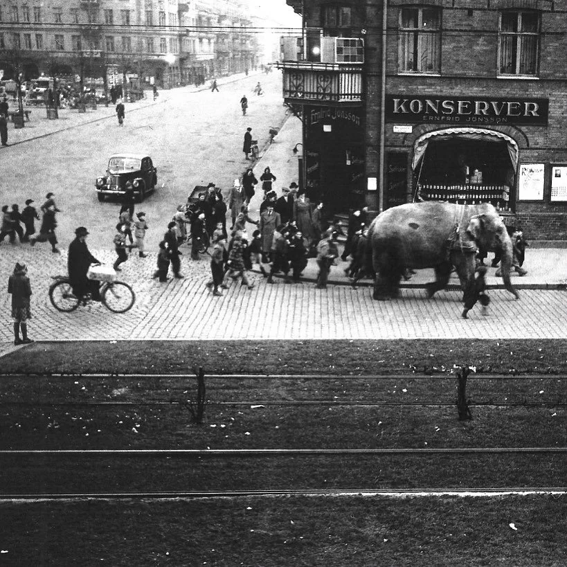 We dive into another Malm&ouml; story this week when Zunino Ignestam Studio facilitates this weeks workshop at Stadsarkivet in Malm&ouml;.

Creative ideas were really used to solve heavy problems back in 1947 at the chocolate factory Mazetti. To solv