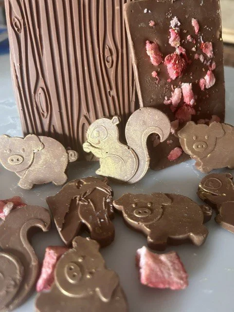 childrens school holiday chocolate workshop make new forest chocolate to include ponies, piggles and chocolate bars