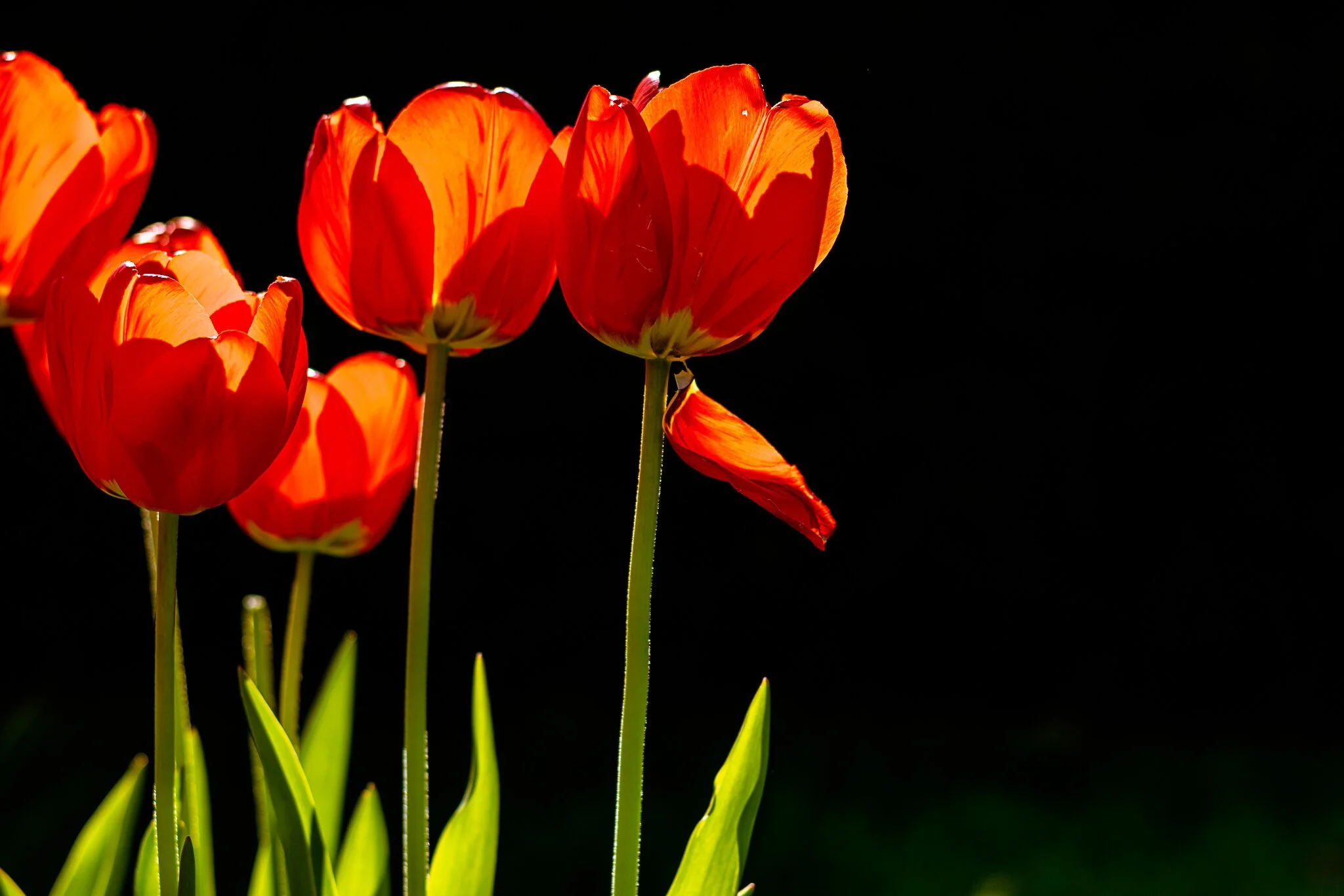 School Photo-shooting - Part 2