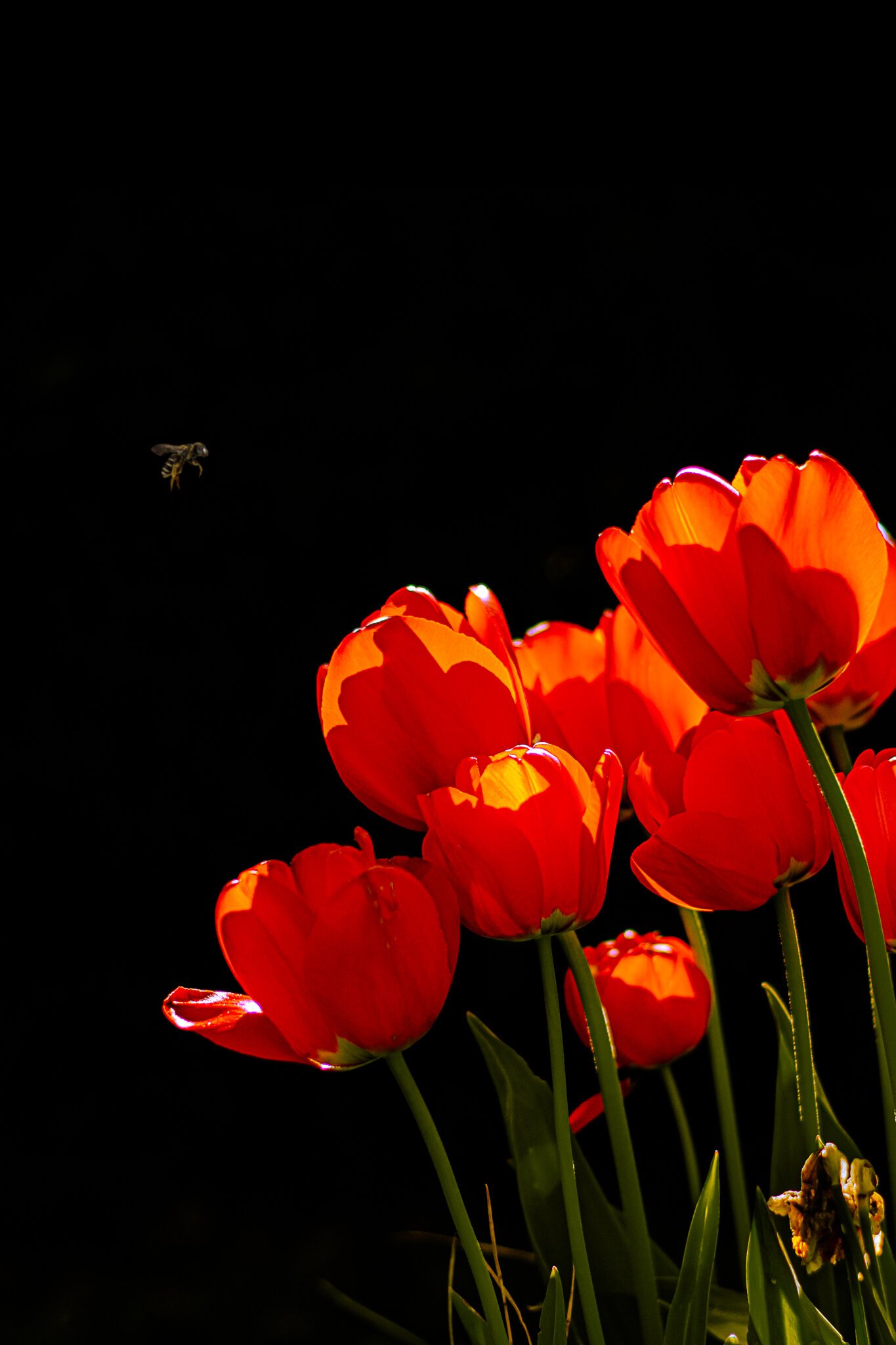 School Photo-shooting - Part 1