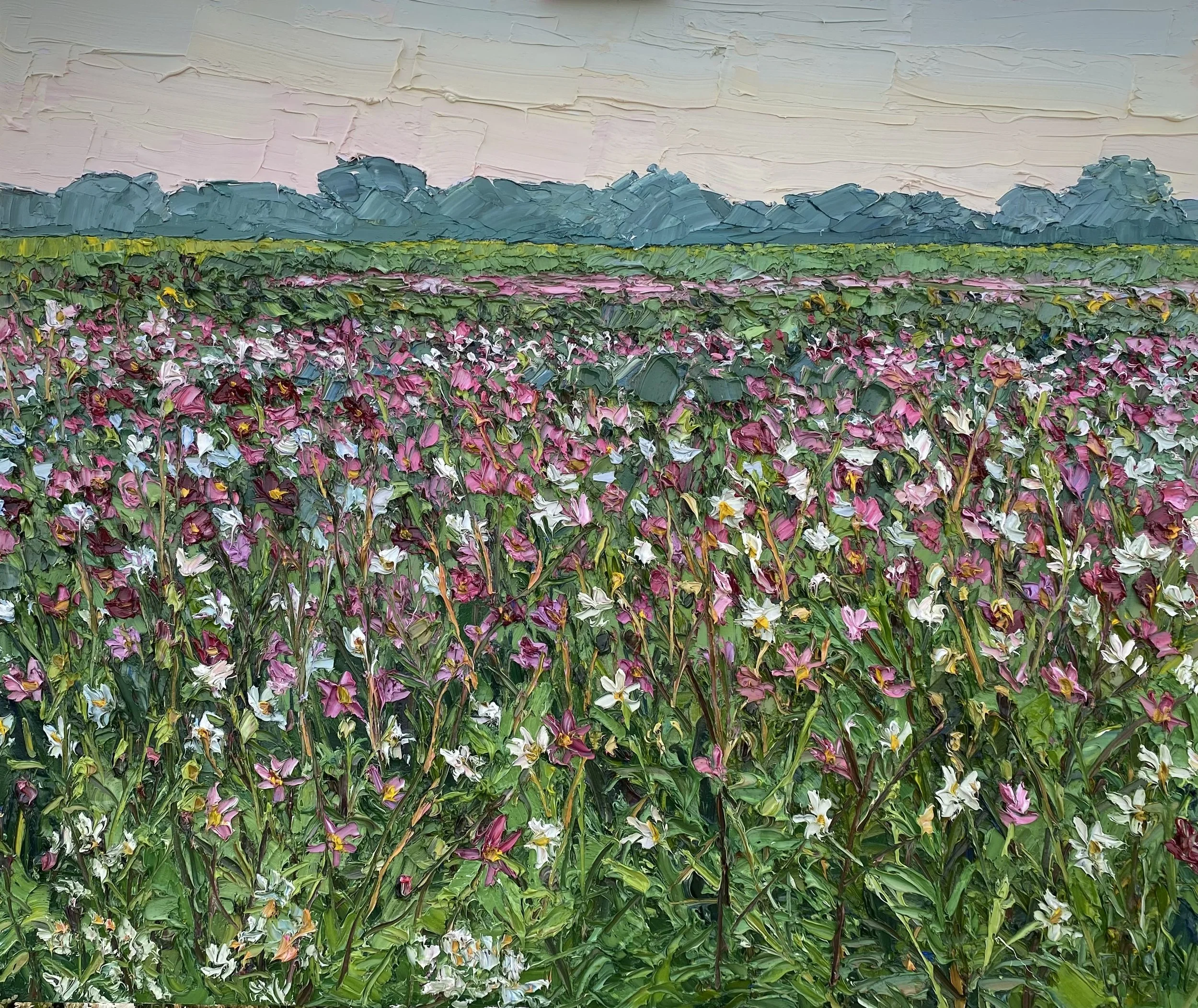 Wildflowers at sunset