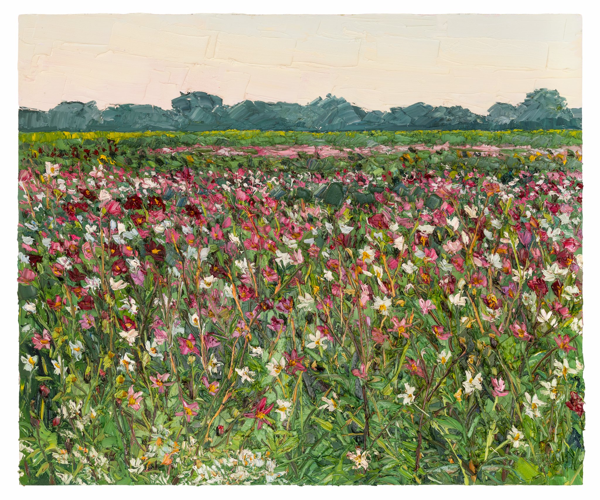 Wildflowers at sunset