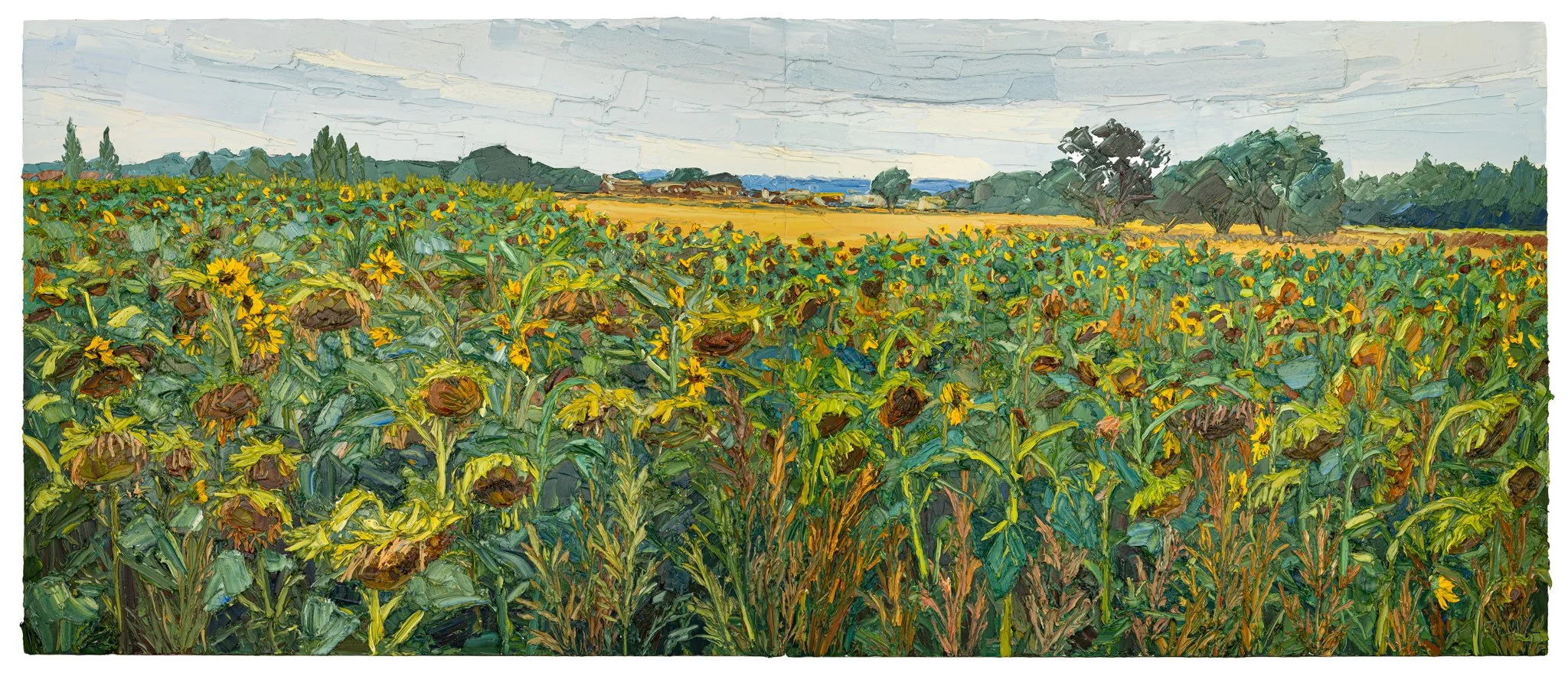 The sunflower field (going over)