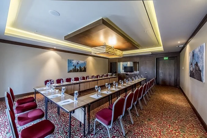 APRİCOT Hilton.jpg