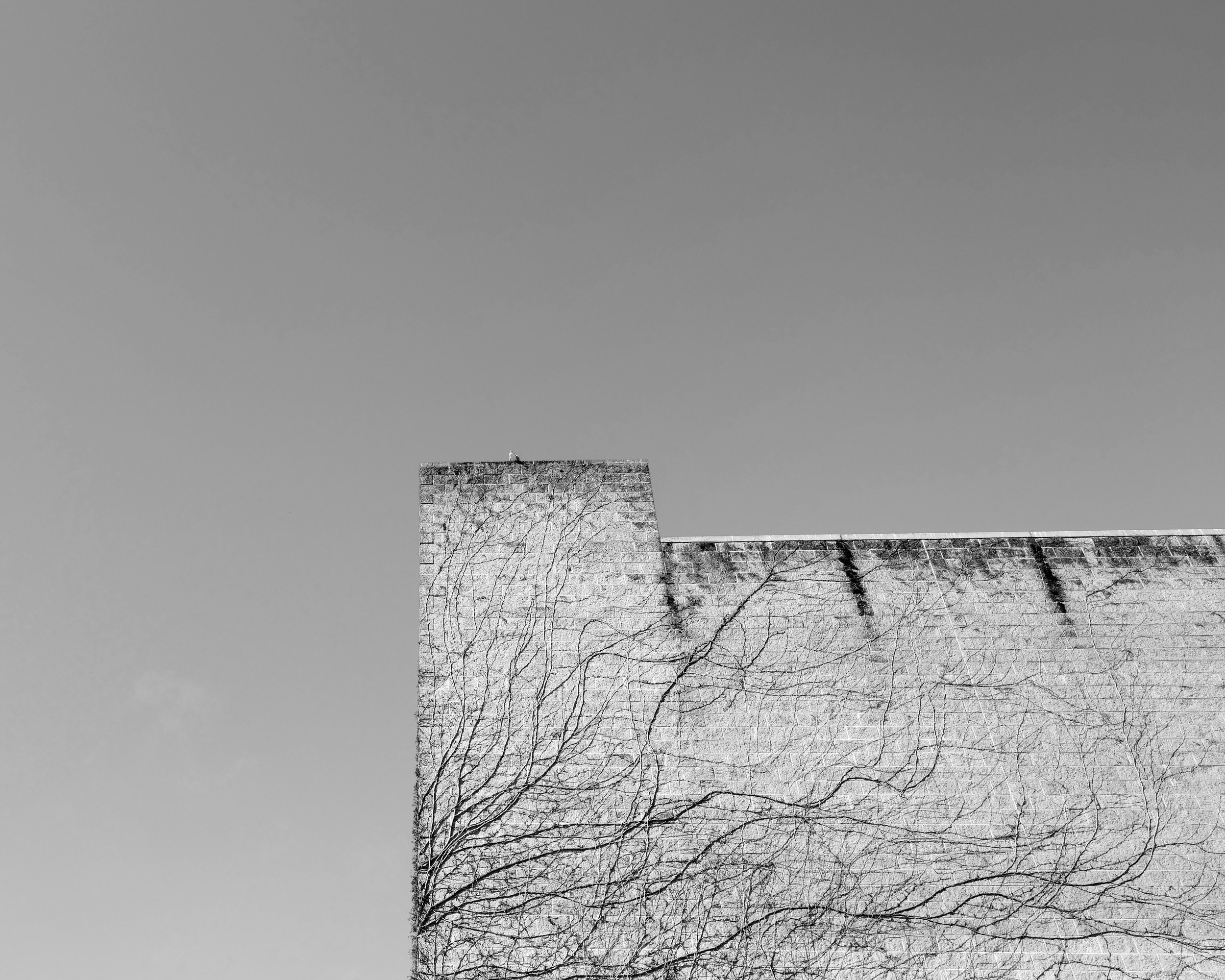 L1000476.jpg