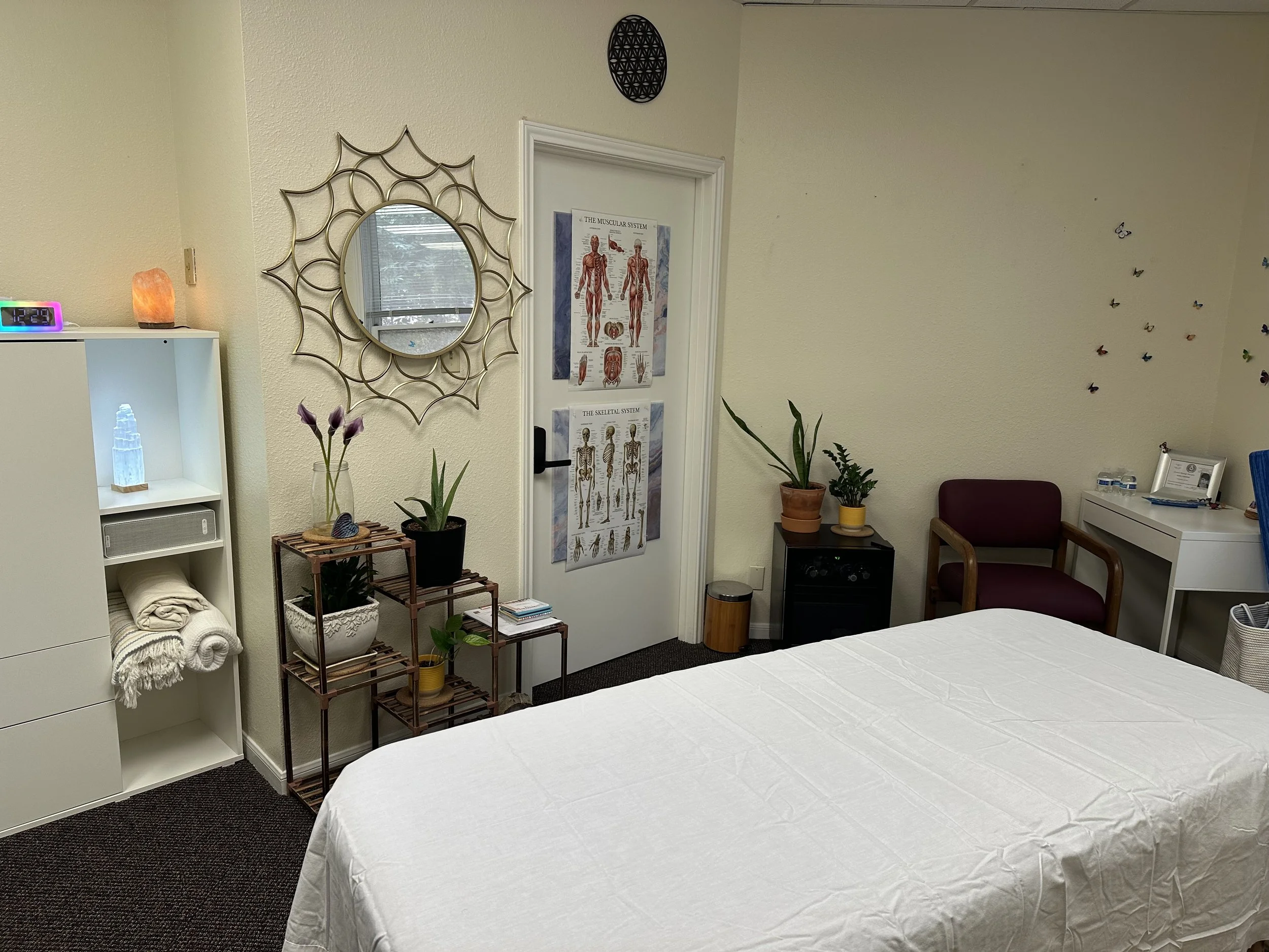 MFR office with a Massage table, chair, mirror, plants, shelves.,