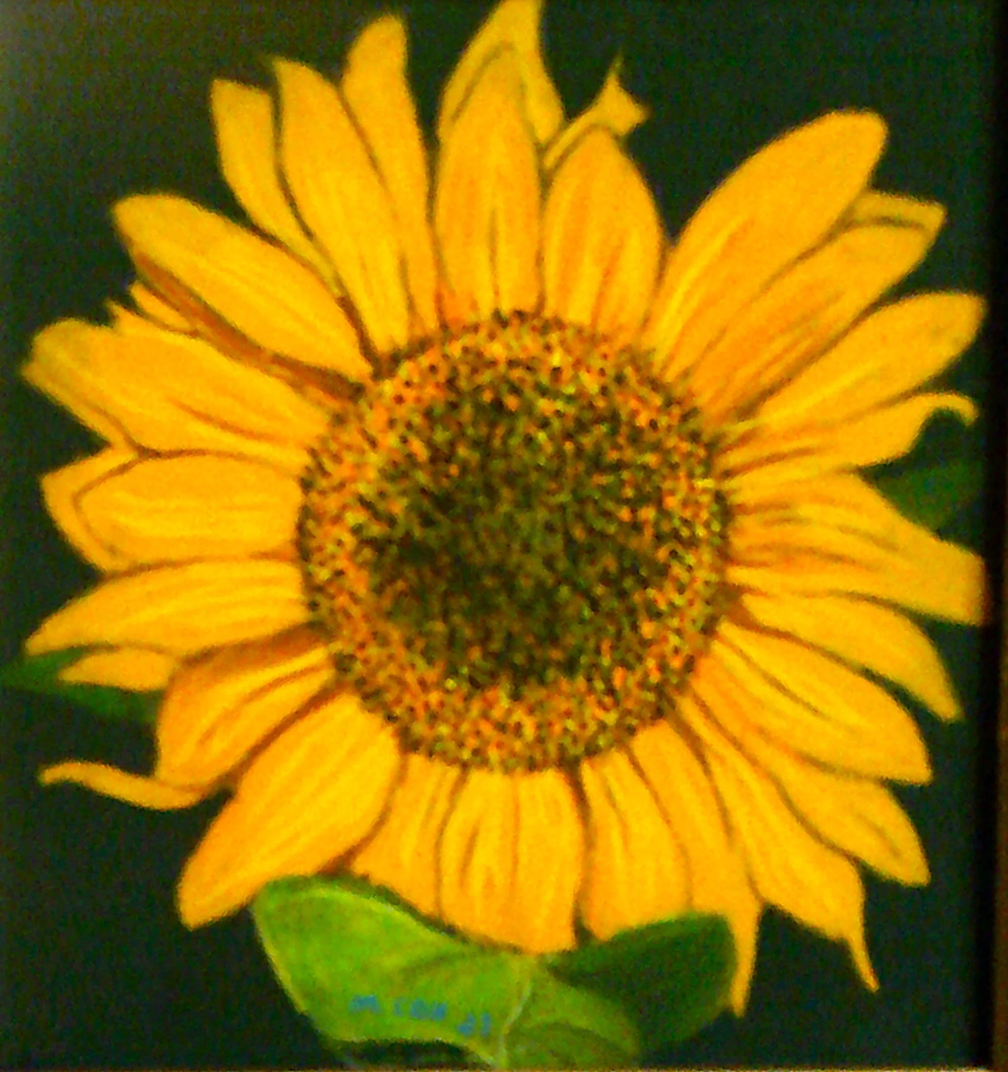 sunflower, pastel, 8 x 8 inches, 2026, sold