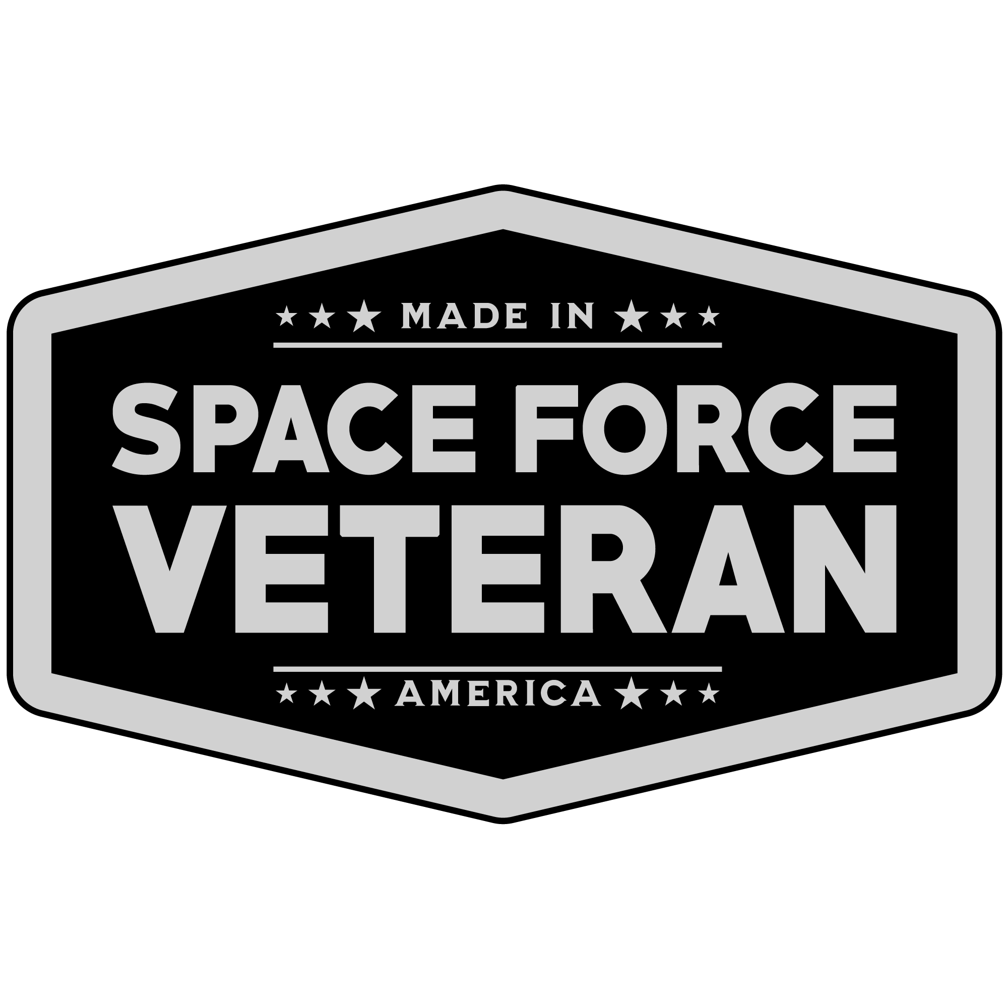 SpaceForceVeteran_Silver.png