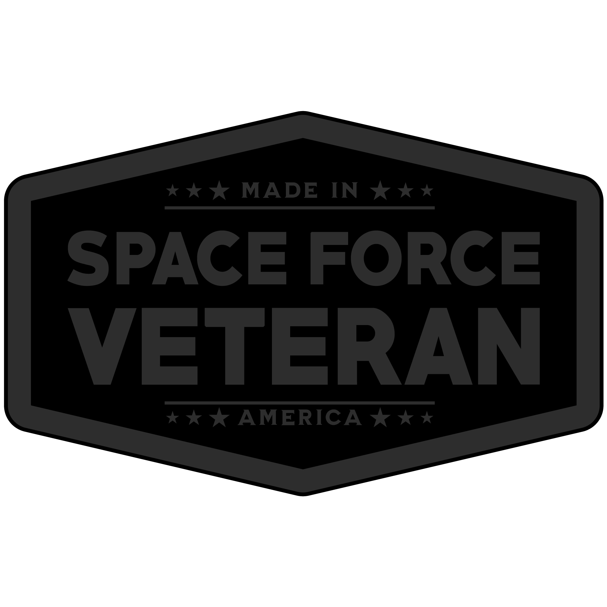 SpaceForceVeteran_Blackout.png