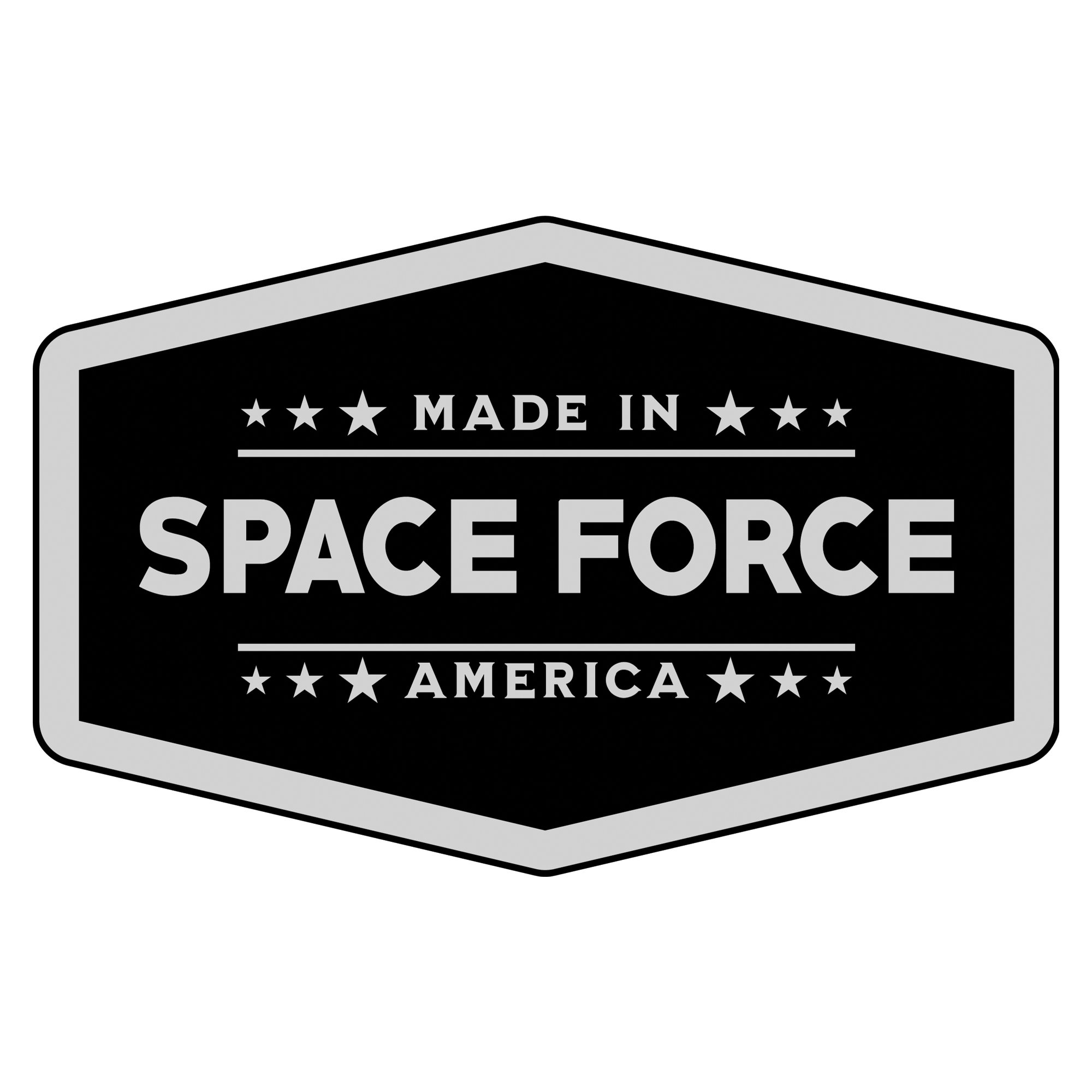Spaceforce-Silver.jpg