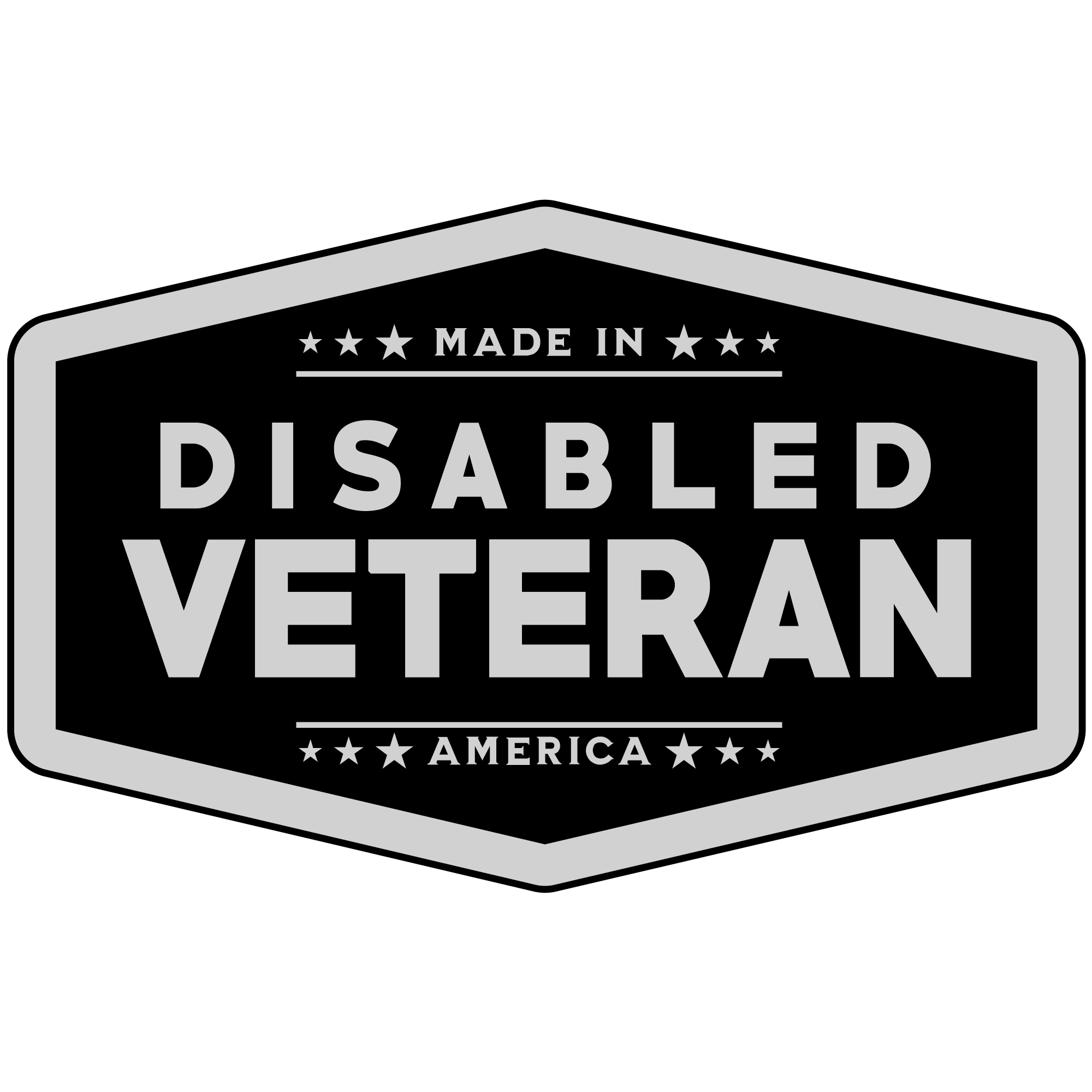 DisabledVeteran_Silver.png