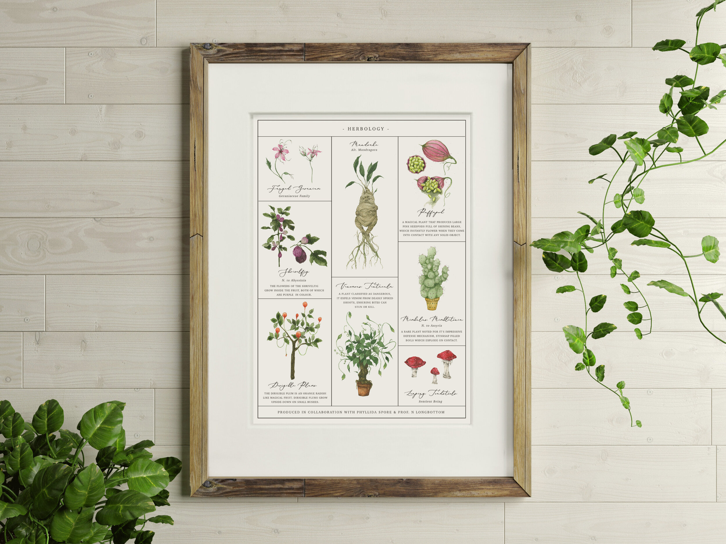 Harry Potter™ - Herbology Poster