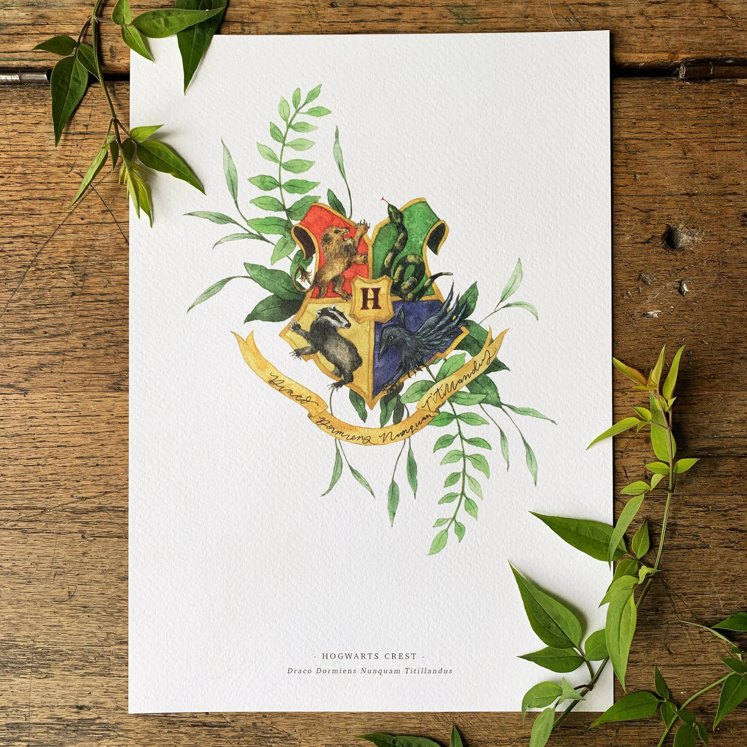 Harry Potter Inspired Herbology Chart — Georgiou Draws