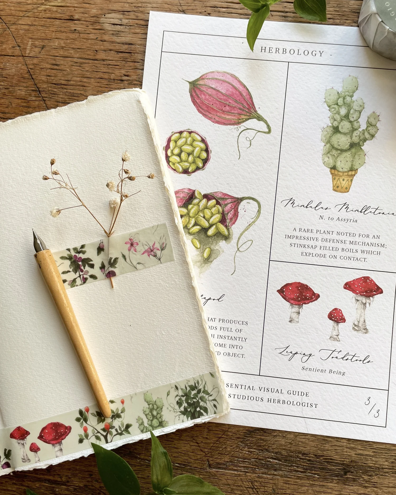 Harry Potter Inspired Herbology Chart — Georgiou Draws
