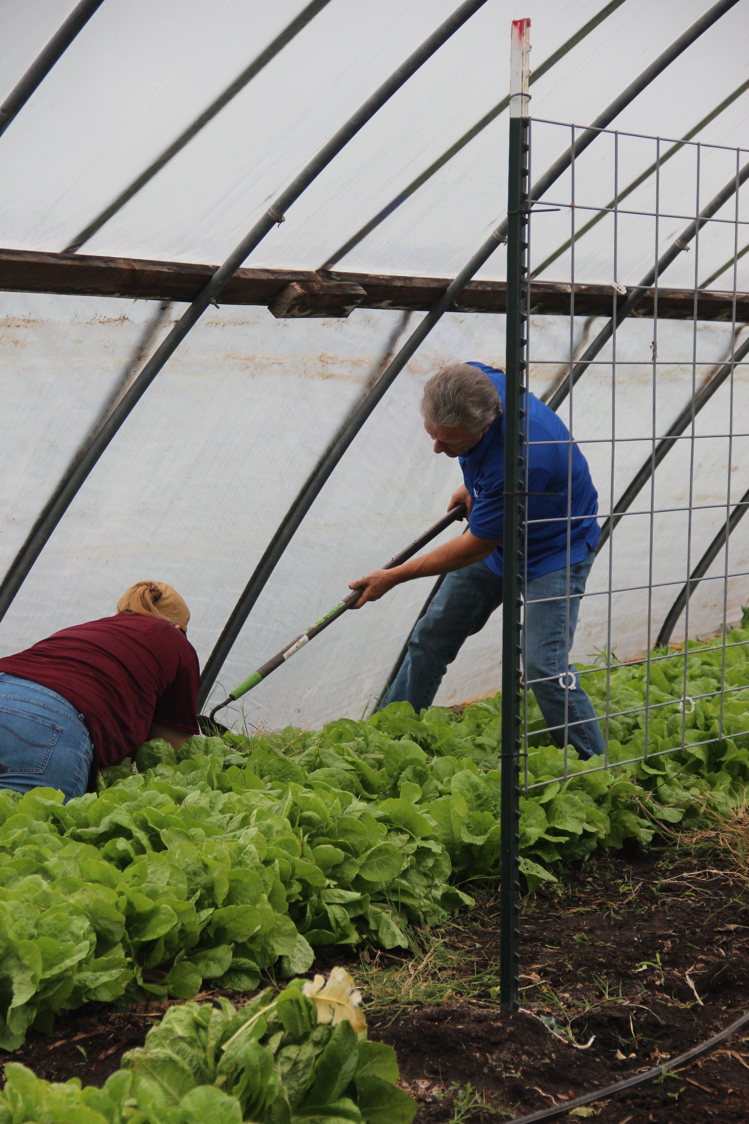 NCTC Staff working at Shiloh Gardens in Denton.JPG