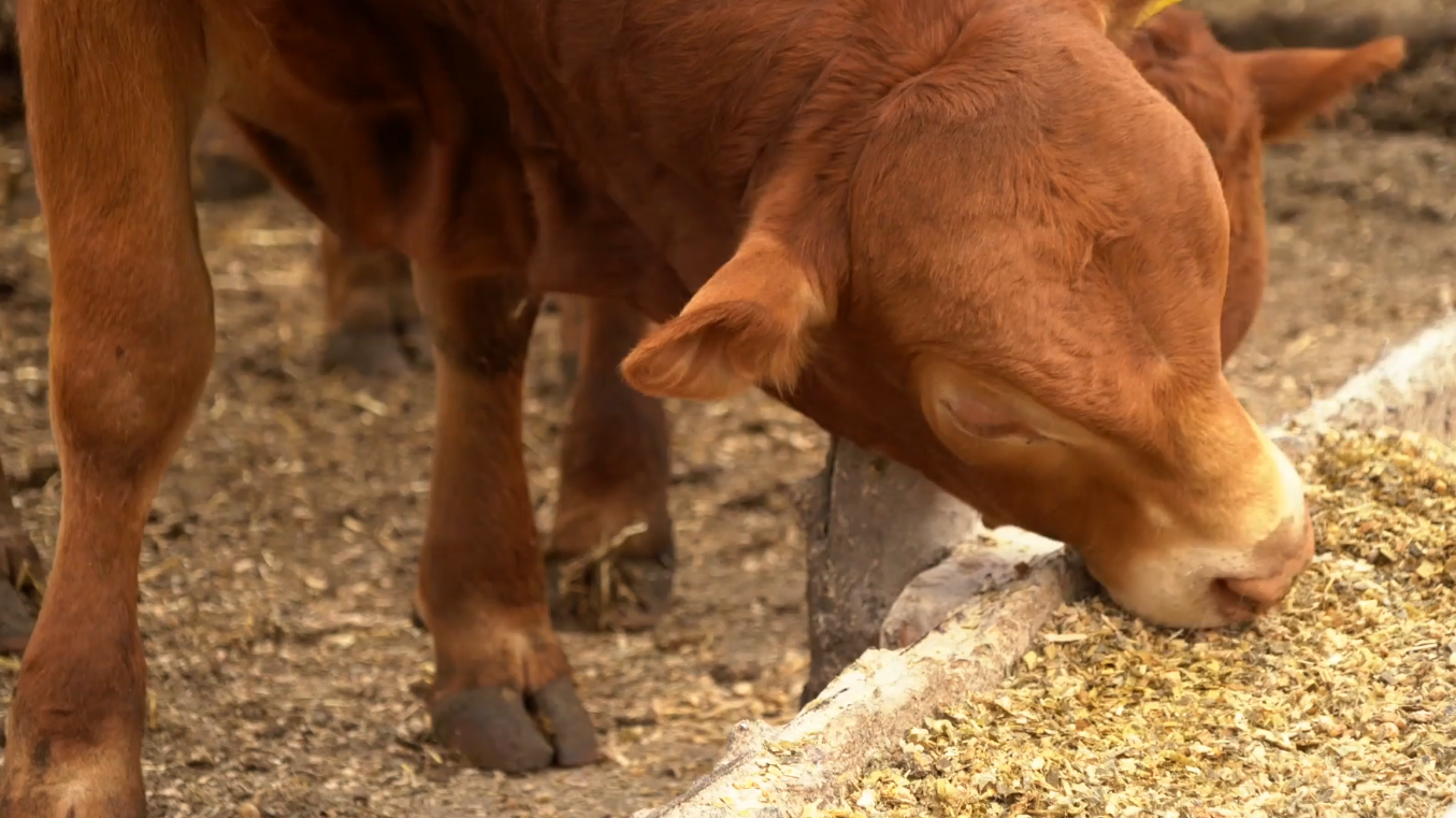 Farm and Ranch Video Thumbnail.PNG