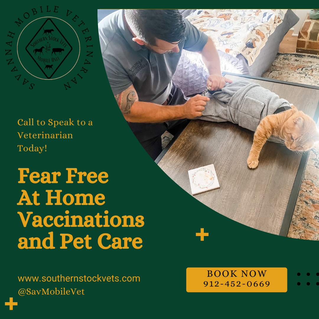 Vet To Pets Mobile Veterinary Services - Veterinarian In Savannah