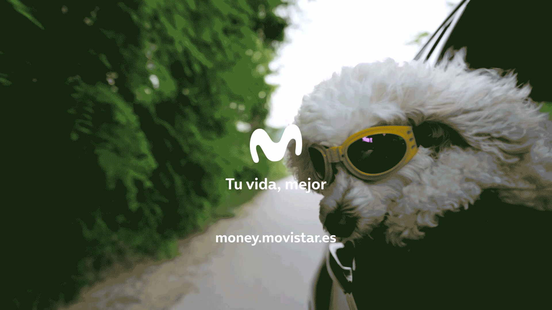 MOVISTAR.gif