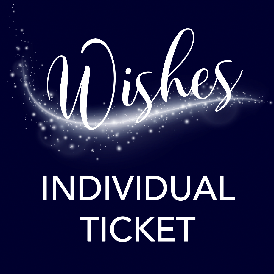 Wishes for Wellspring Individual Ticket