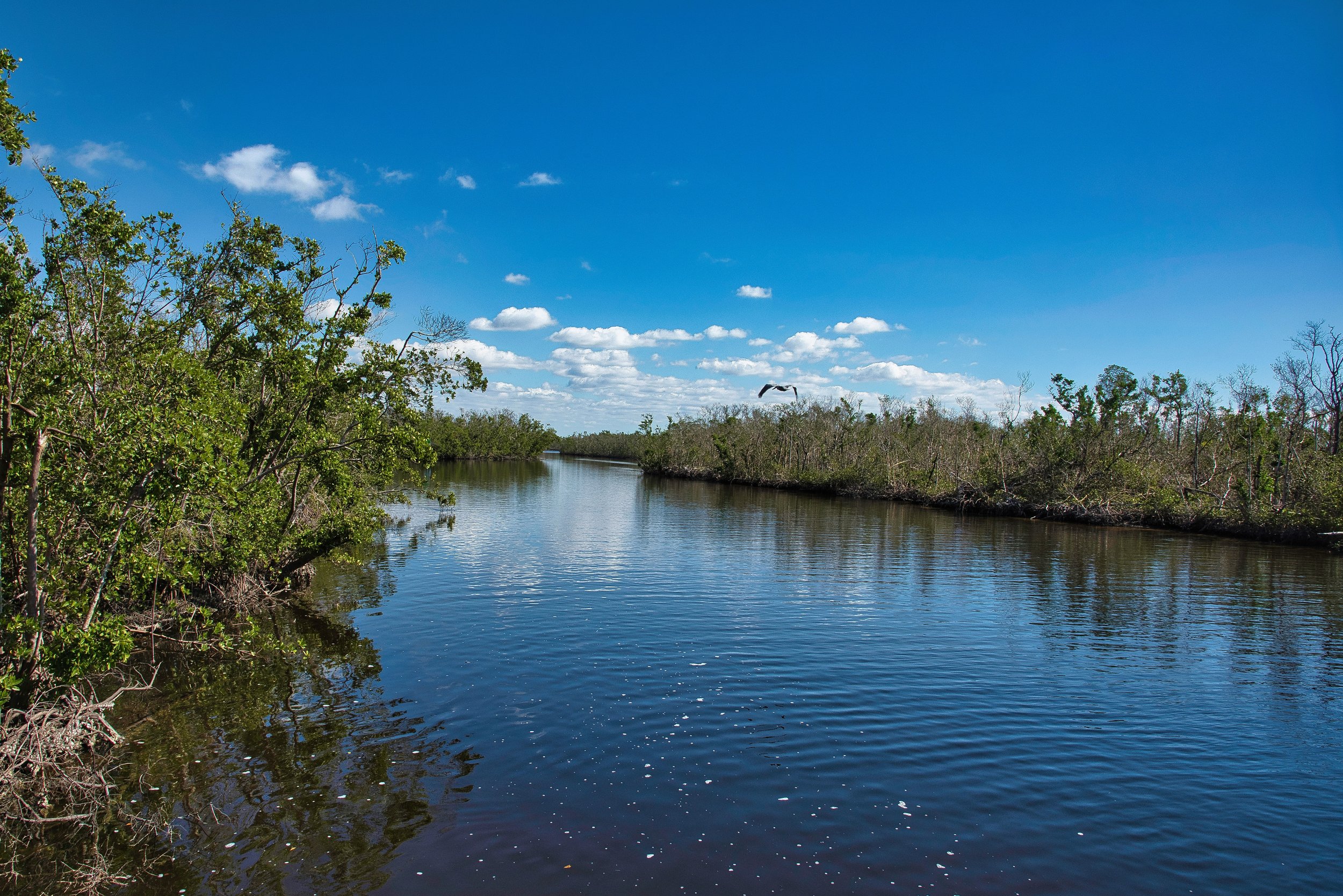 Water Wilderness