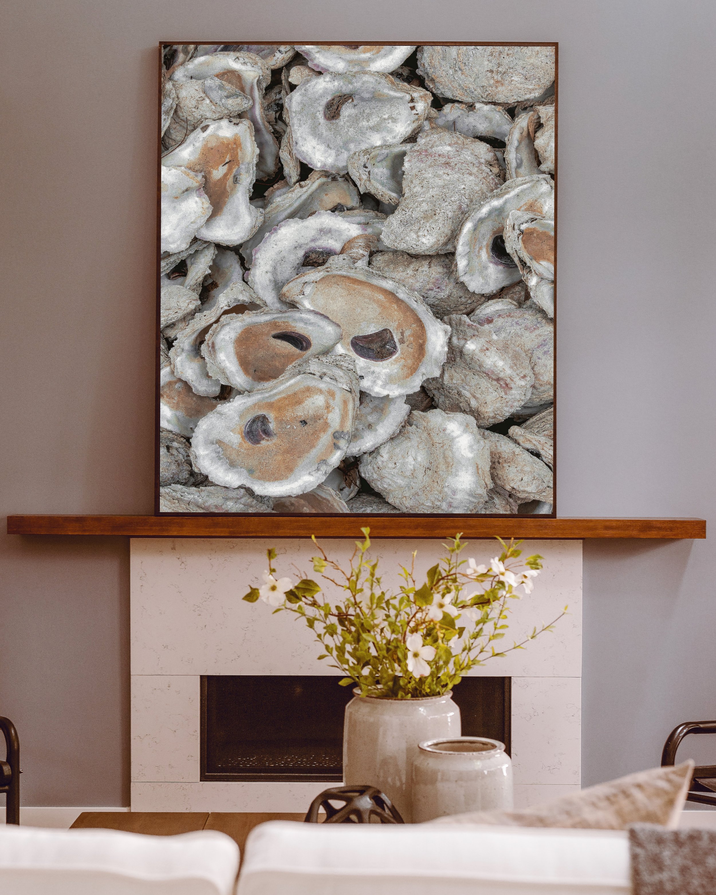 Oyster Shells Framed