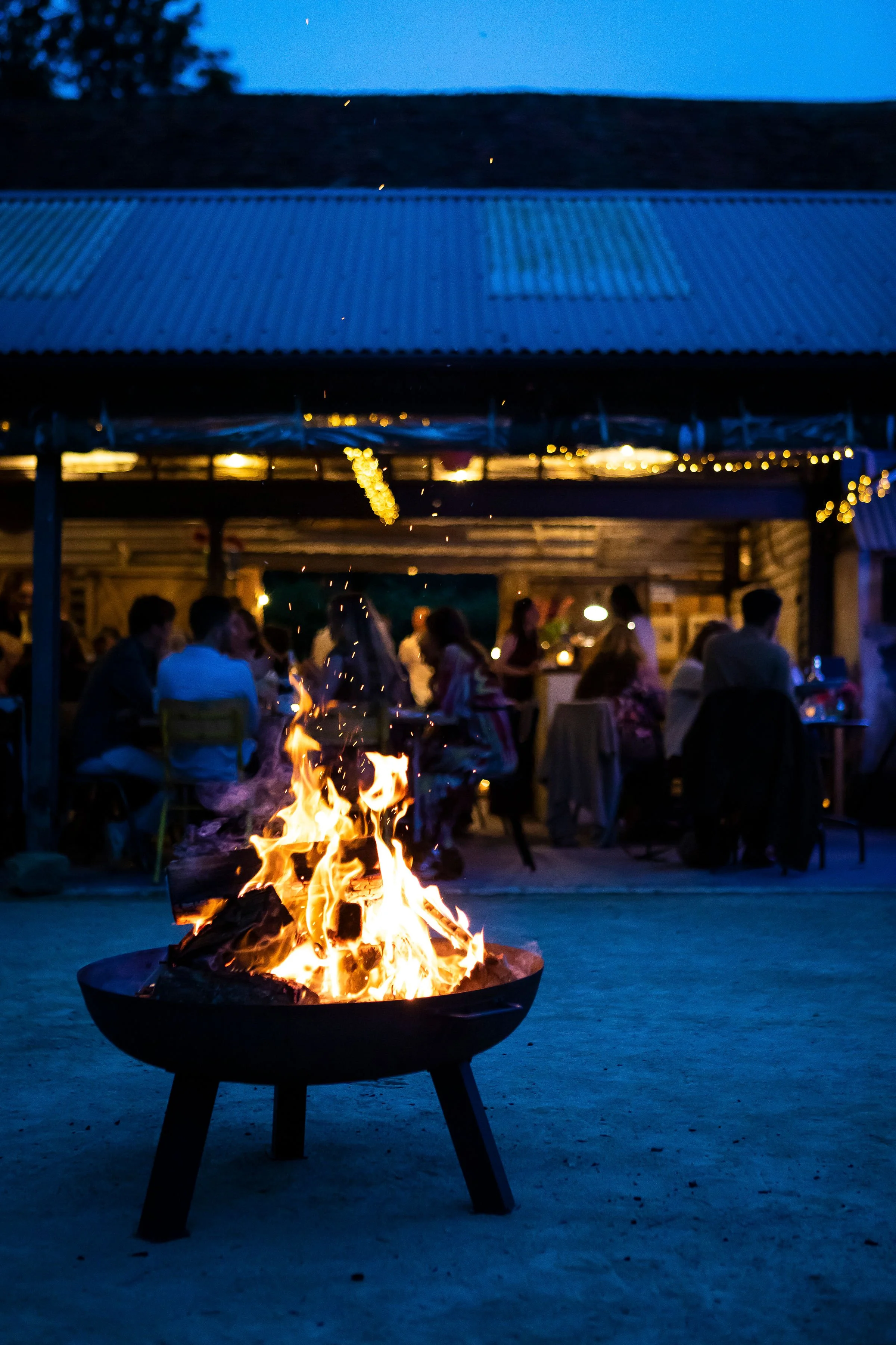 Wild Seasoning: The Taster Menu 