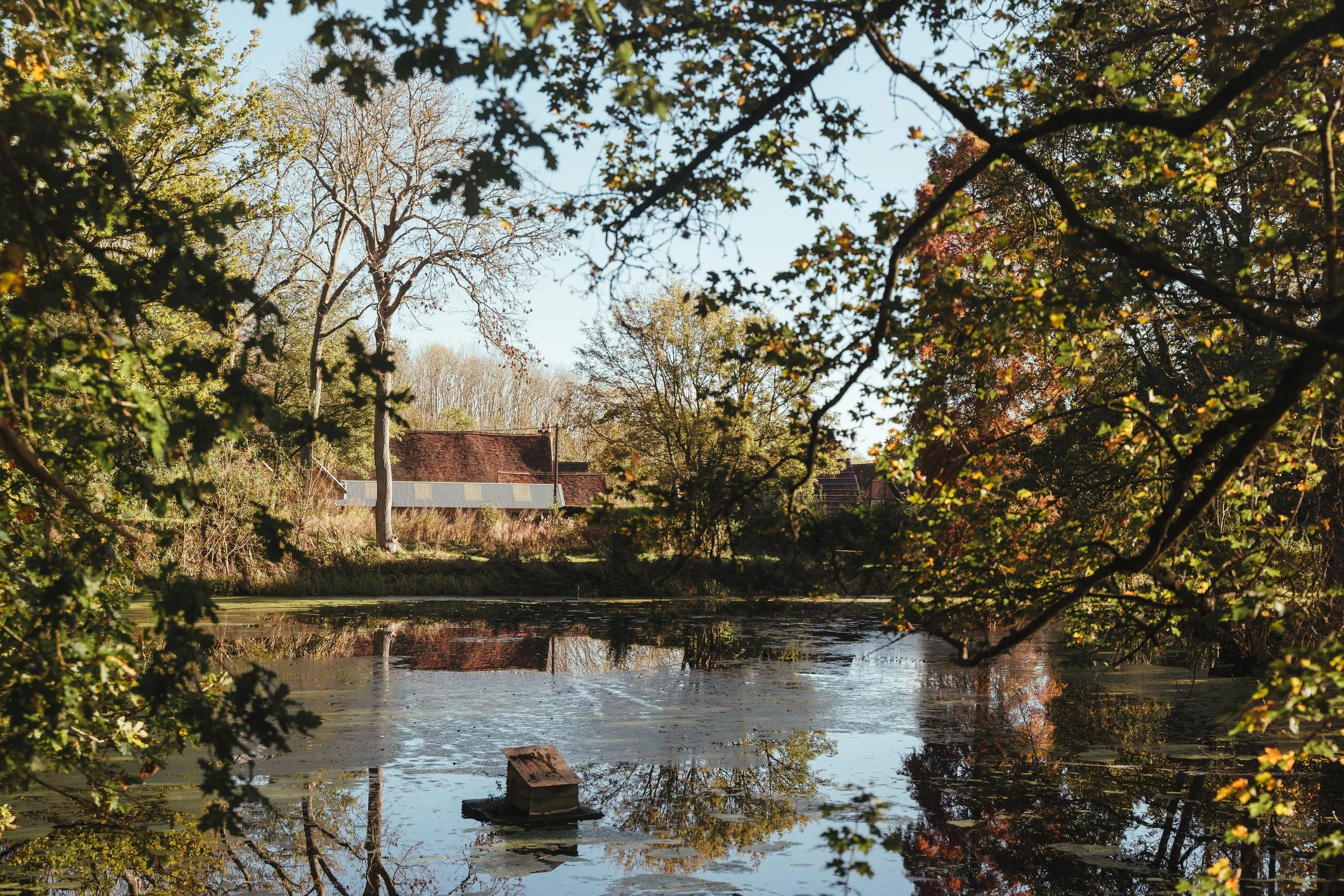 EatLotts: The Summer Supper Club 