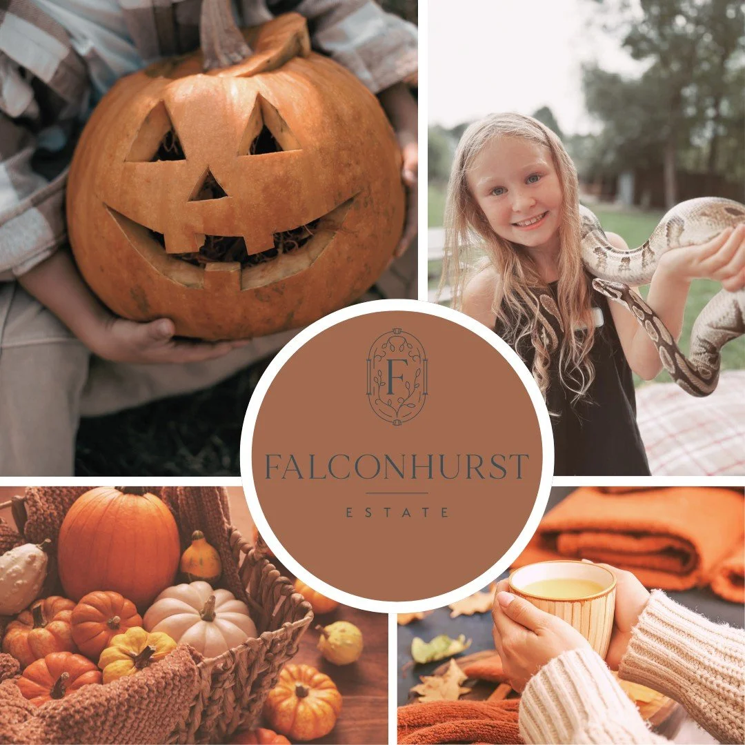 As the leaves begin to turn wonderfully golden, we&rsquo;re turning our attention to October Half Term!

There&rsquo;s much happening at Falconhurst this half term.

The Falconhurst Pumpkin Hunt starts on Saturday 18th October, with ten pumpkins hidd