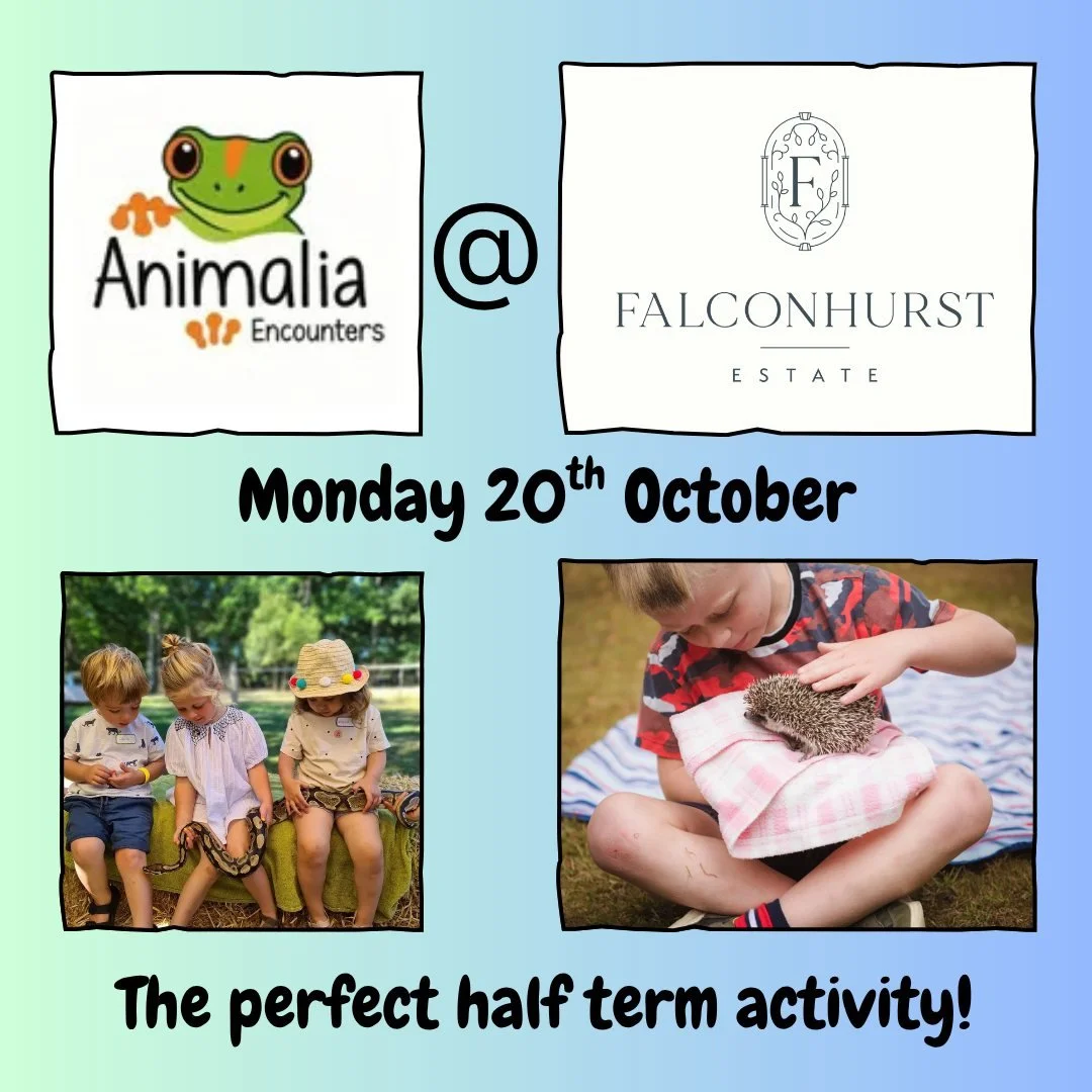 Wondering what to do this half term?

We've got a couple of great activities to keep you entertained.

On Monday 20th October we're playing host to @animaliaencounters, so join us and meet some amazing creatures.

Book online: https://www.falconhurst