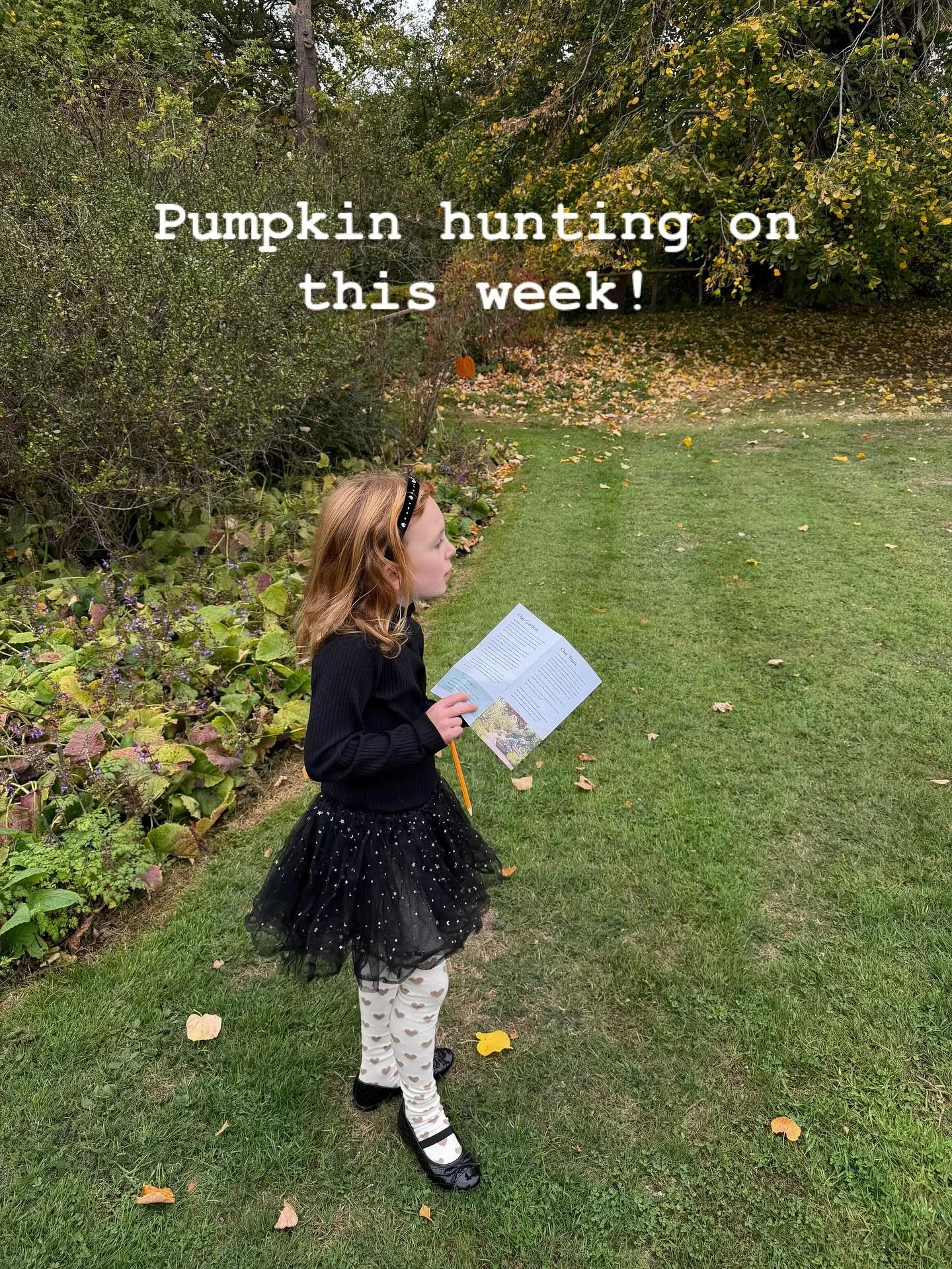 Pumpkin hunting week!