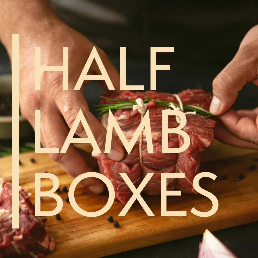 We still have a couple of half lamb boxes left, so be quick and order now...

Home reared, organic pasture-fed Falconhurst Lamb that is grazed on diverse nutrient dense grassland that surrounds the Farm Shop. The result is fantastic; sweet, rich and 