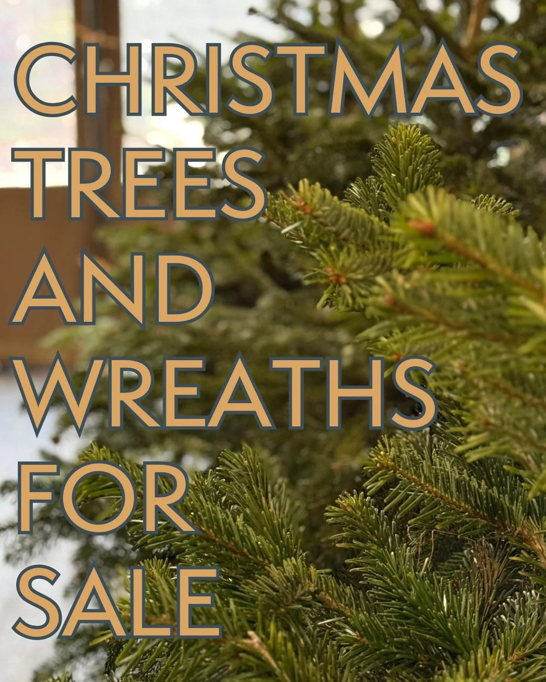 We have already sold a huge number of Christmas trees and wreaths this year, but we still have stock left and would love to help you choose your perfect tree, or beautiful wreath for your door.

Come in to the barn and we'll be there waiting to serve