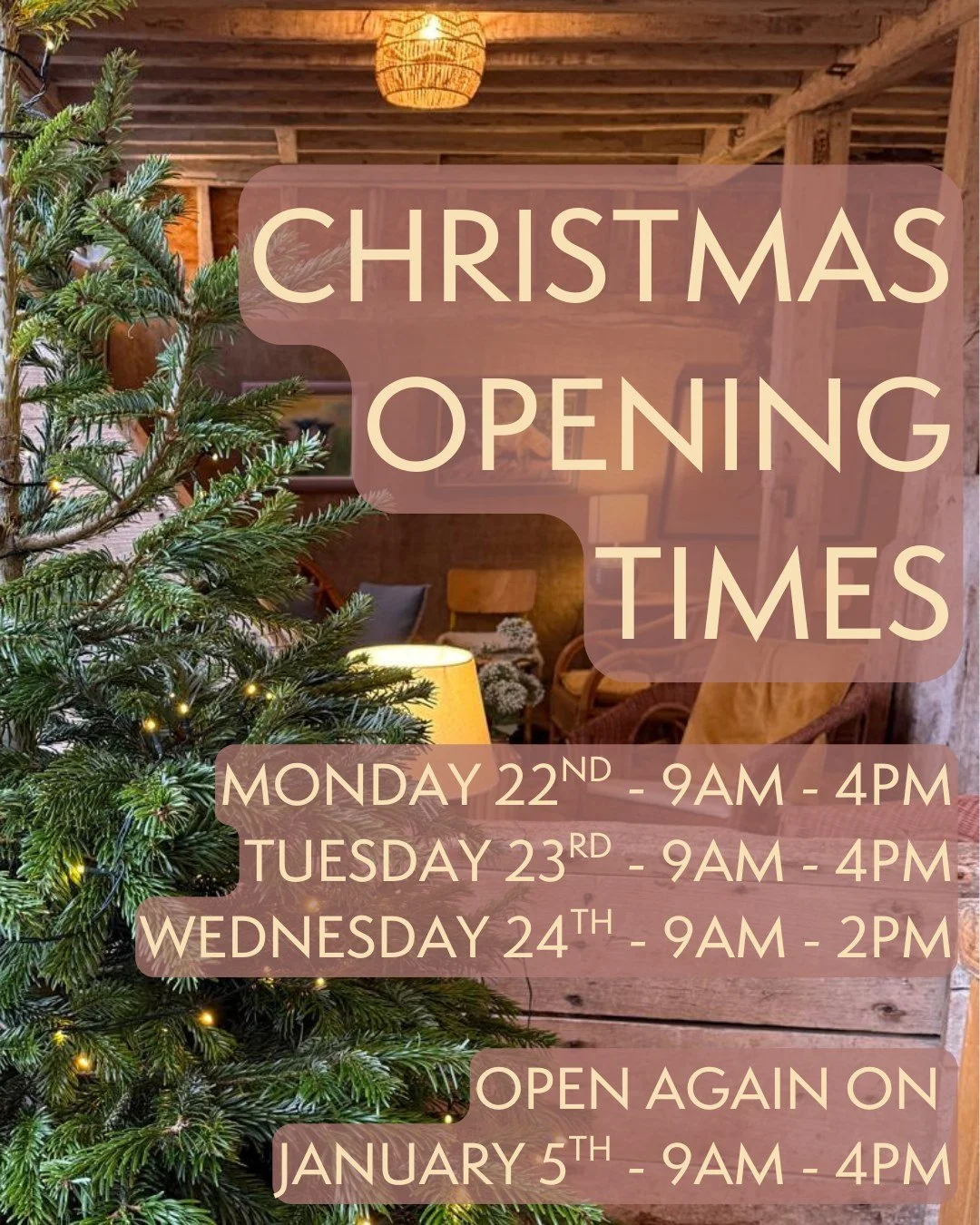We're here for you right up until 2pm on Christmas Eve.

Then it's time for our staff to take a well earned break and enjoy the festive season.

We'll be open again on Monday 5th January 2026 at 9am.