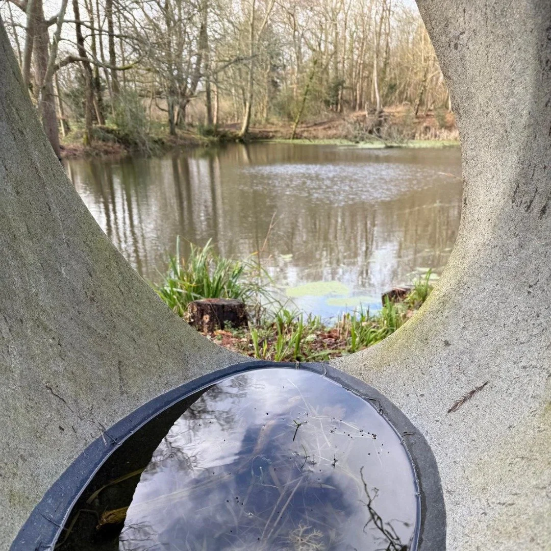 One of my favourite places at Falconhurst is the pond behind the barn. It's a lovely place to sit and enjoy the woodland. It has a very calm and tranquil feel and there is plenty to enjoy here. There are ducks, a bird hide, sculptures, a rope swing a